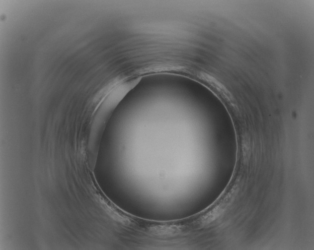 X0000073931185200608181106