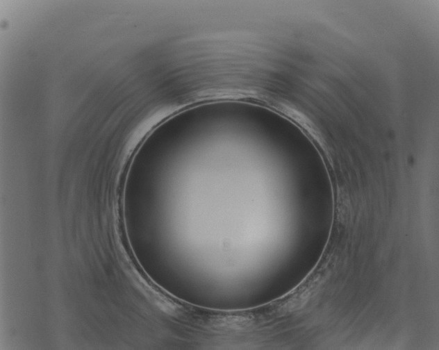 X0000073931187200608181106