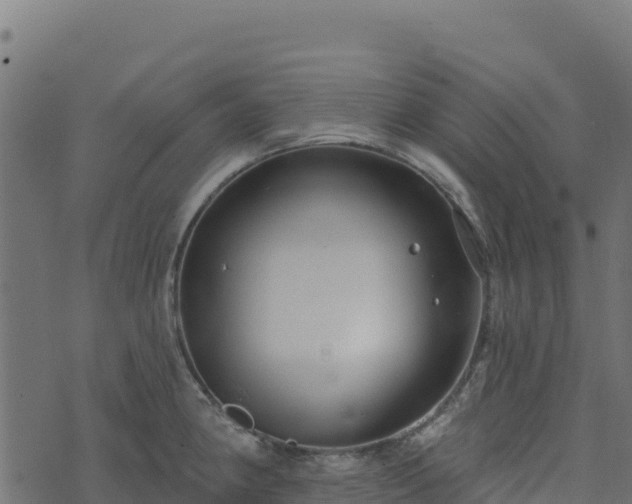 X0000073931190200608181106