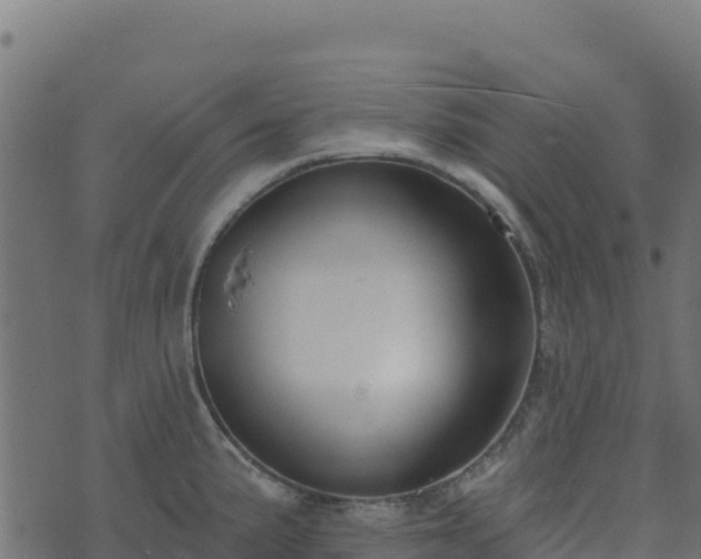 X0000073931191200608181106