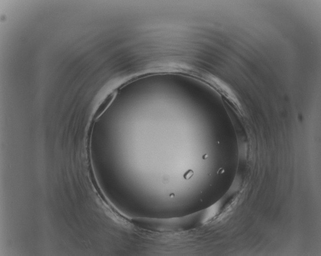 X0000073931192200608181106