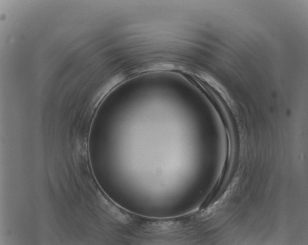 X0000073931193200608181106