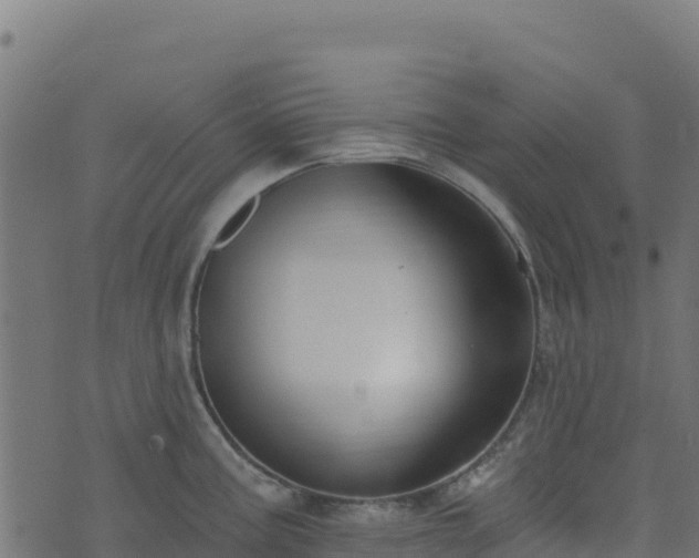 X0000073931195200608181106