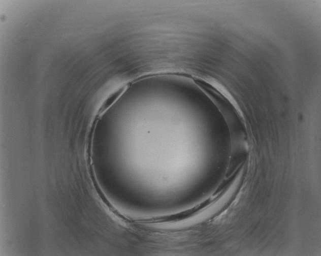 X0000073931197200608181106