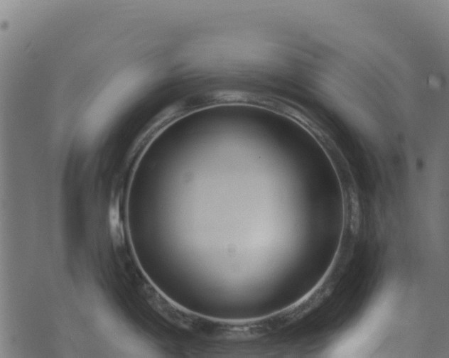 X0000073931198200608181106