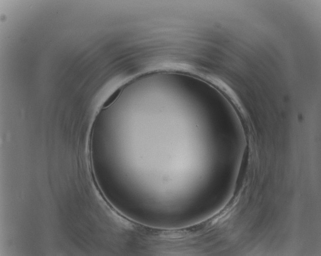 X0000073931199200608181106