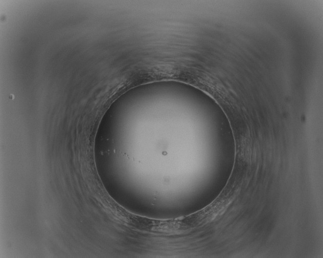 X0000073931201200608181105