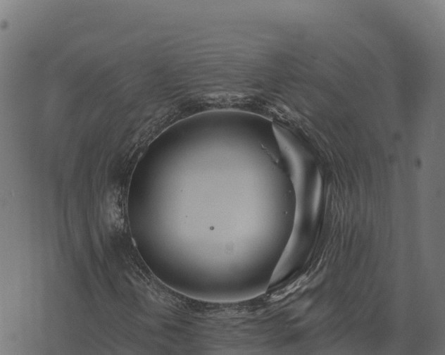 X0000073931202200608181105