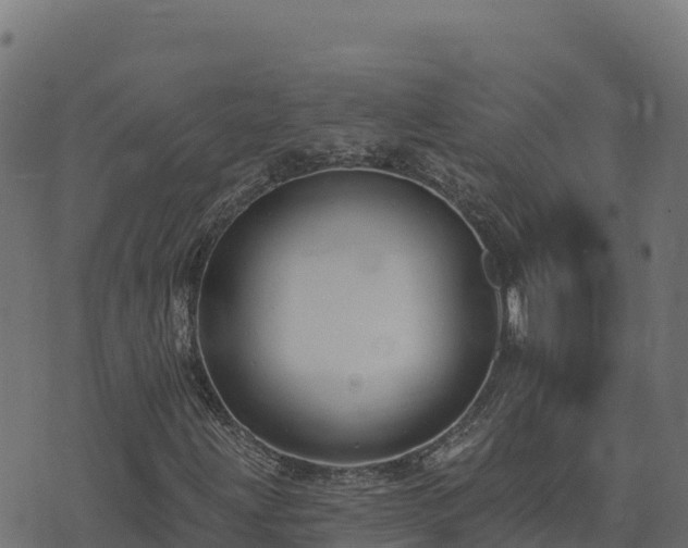 X0000073931203200608181105