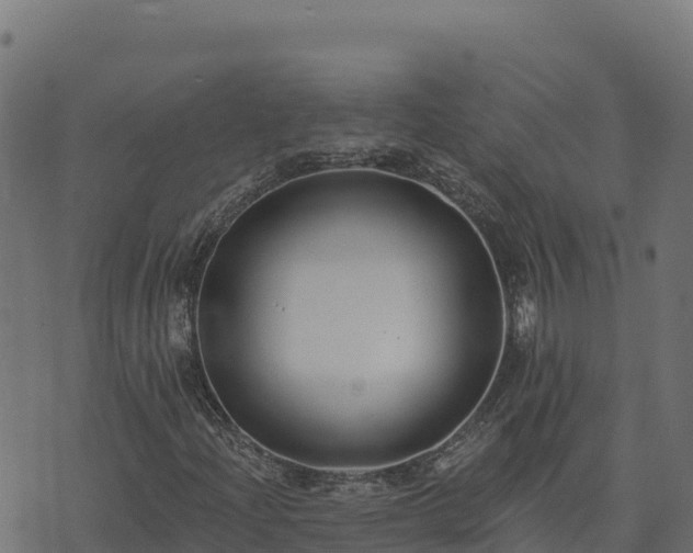 X0000073931204200608181105