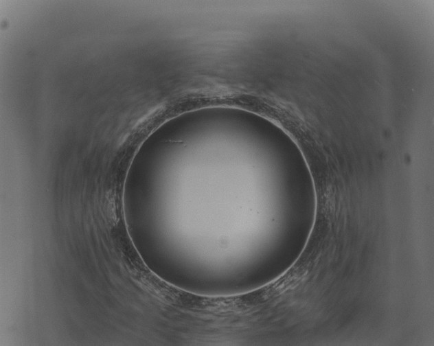 X0000073931205200608181105