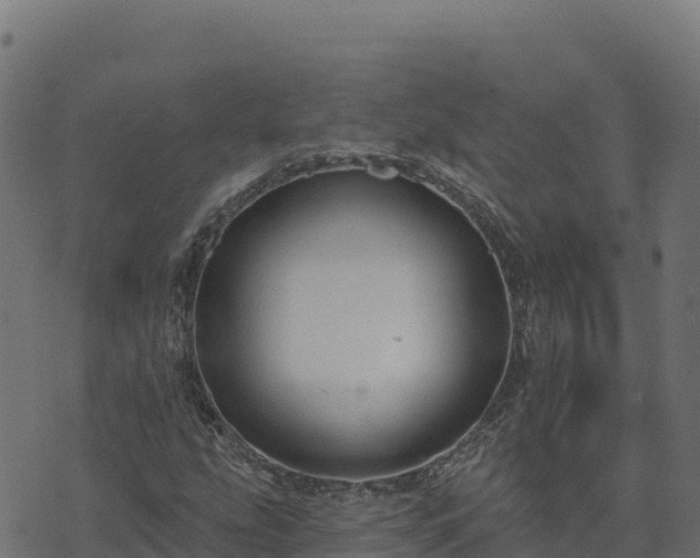 X0000073931207200608181105