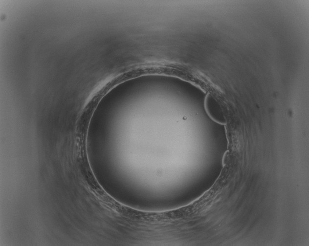 X0000073931208200608181105