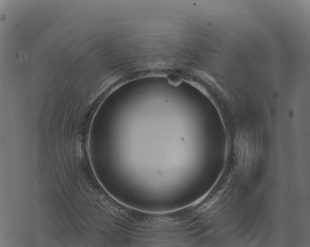 X0000073931209200608181106