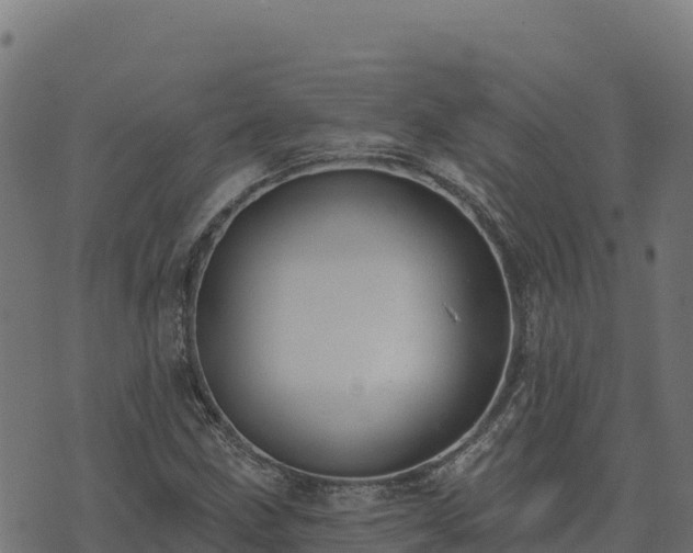 X0000073931211200608181106