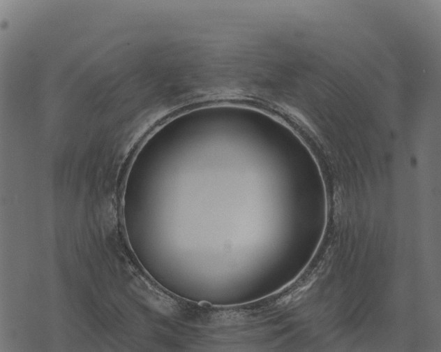 X0000073931212200608181106