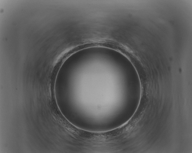 X0000073931214200608181106