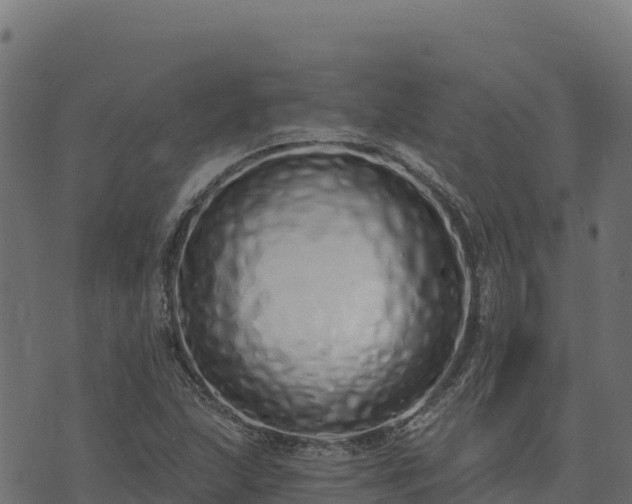 X0000073931215200608181106