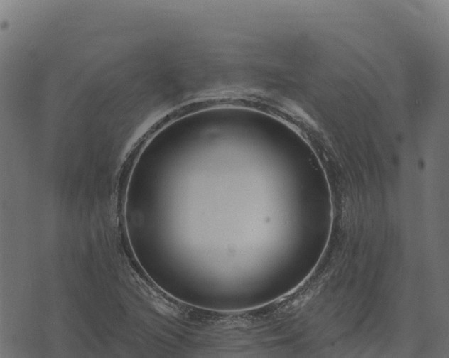 X0000073931216200608181106