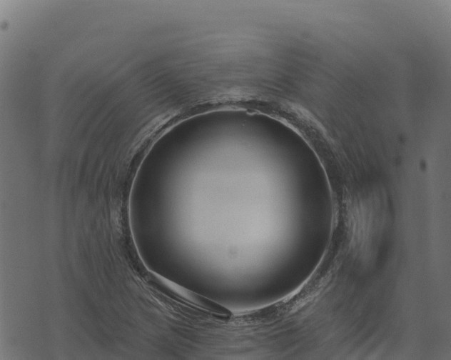 X0000073931217200608181106