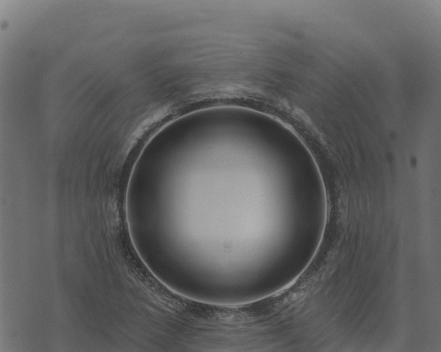 X0000073931218200608181106