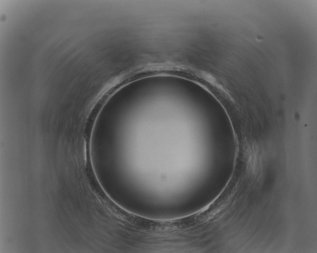 X0000073931221200608181106