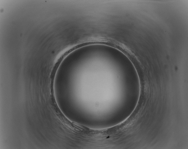 X0000073931222200608181106