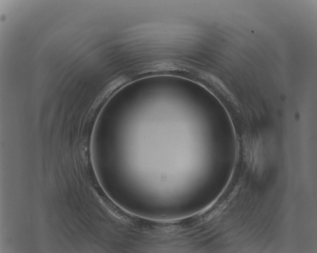 X0000073931225200608181106