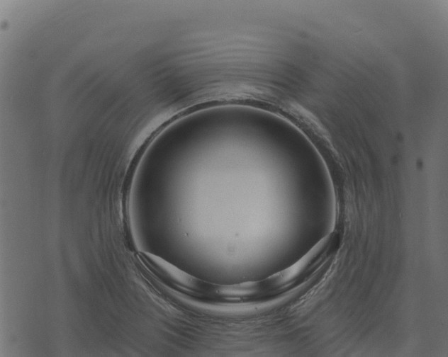 X0000073931226200608181106