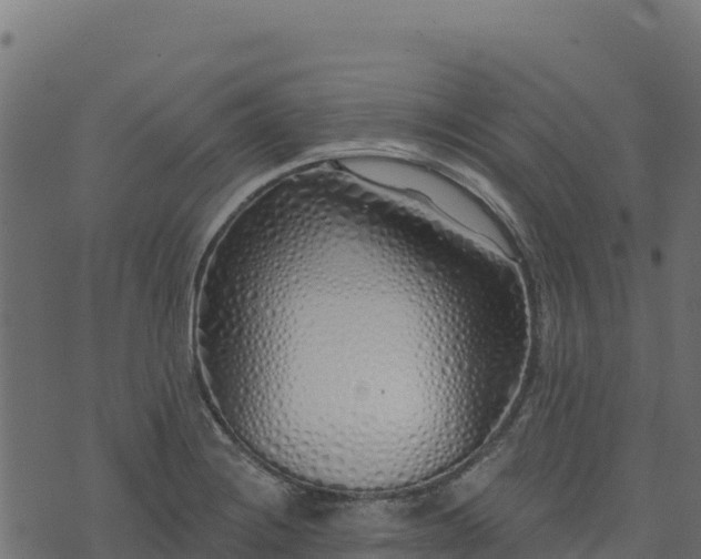 X0000073931228200608181106