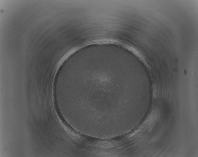 X0000073931229200608181106