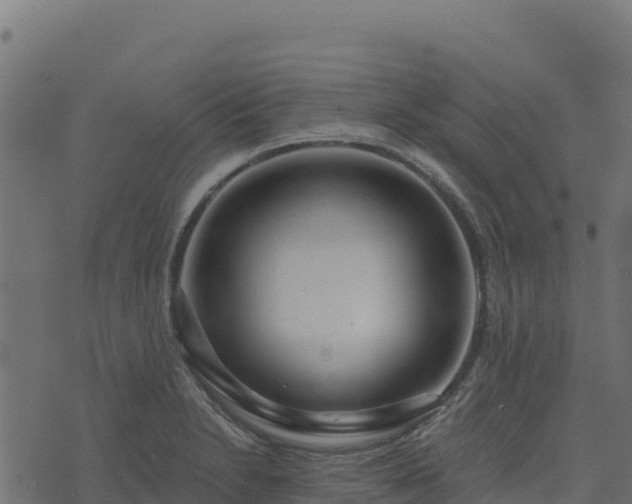 X0000073931230200608181106