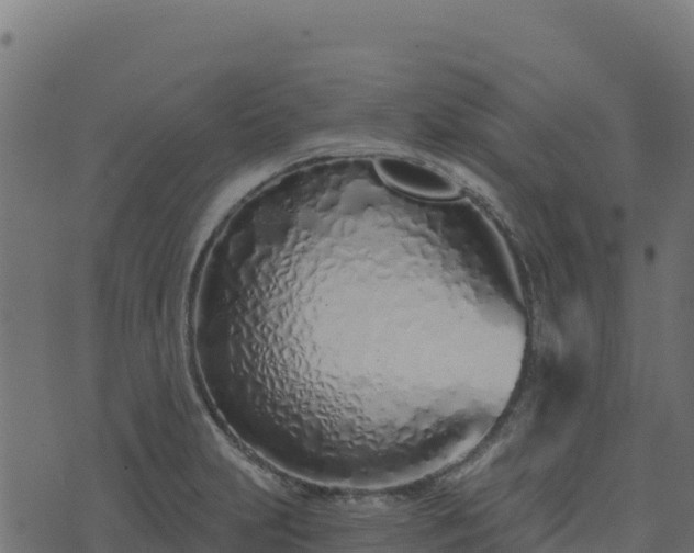 X0000073931231200608181106