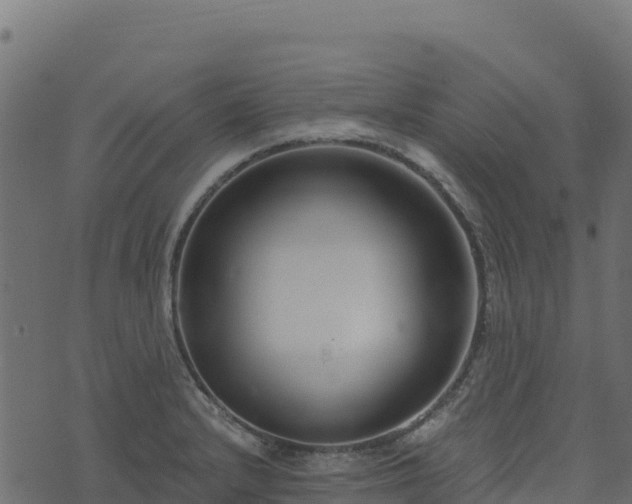 X0000073931232200608181106