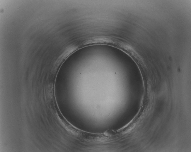 X0000073931233200608181106