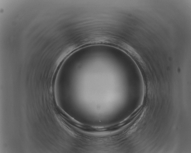 X0000073931234200608181106