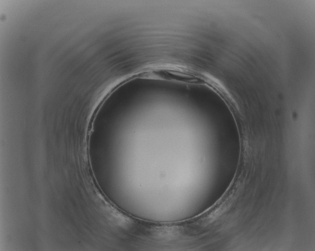 X0000073931236200608181106