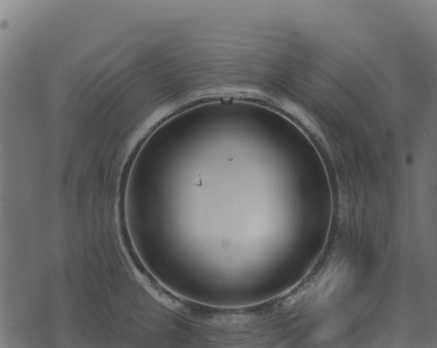 X0000073931237200608181106