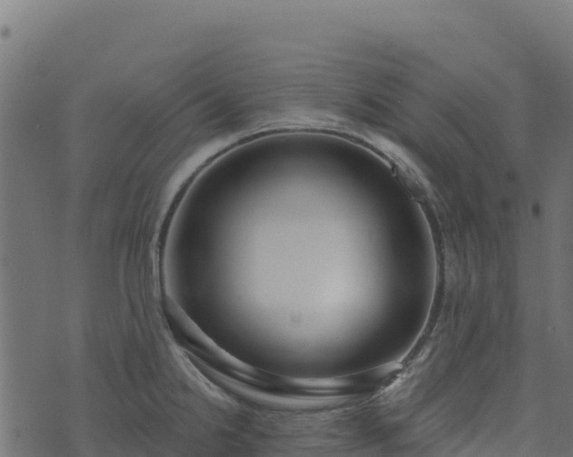 X0000073931238200608181106