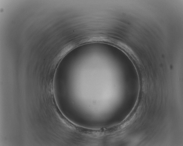 X0000073931241200608181106