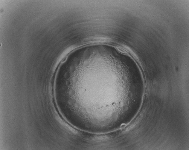 X0000073931243200608181106