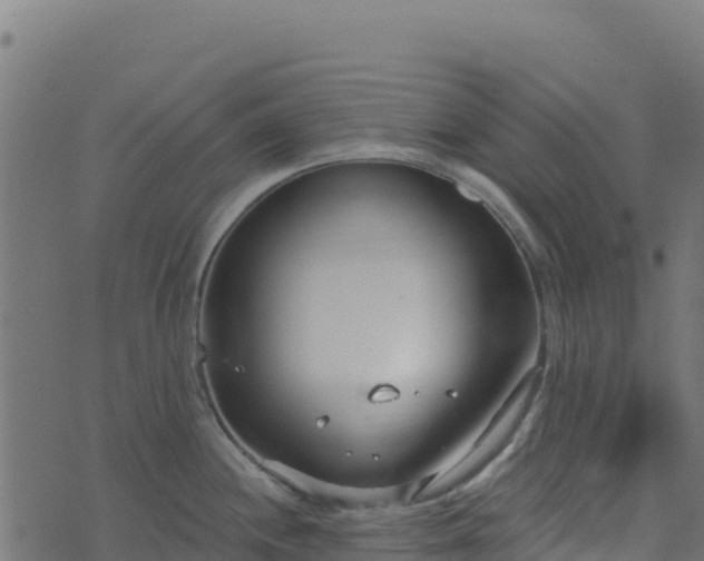 X0000073931244200608181106