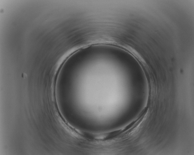 X0000073931246200608181106