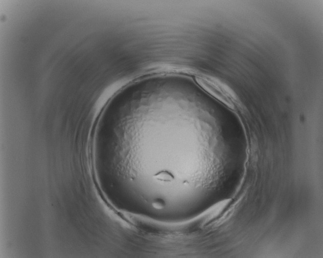 X0000073931247200608181106