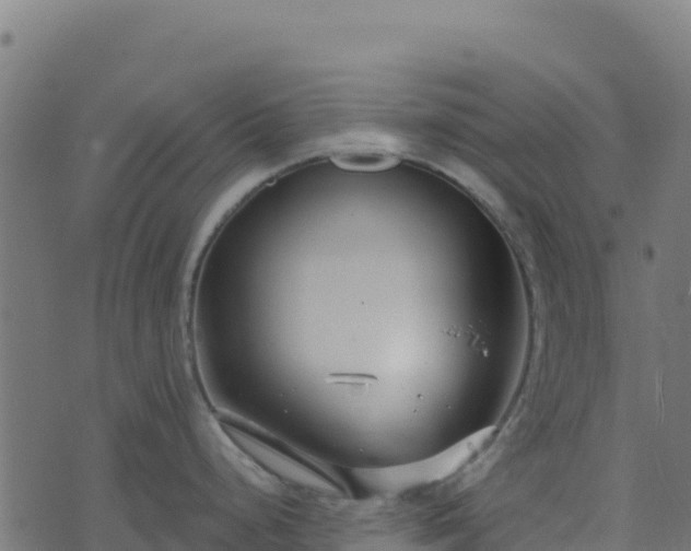 X0000073931248200608181106