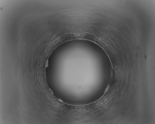 X0000073931249200608181105