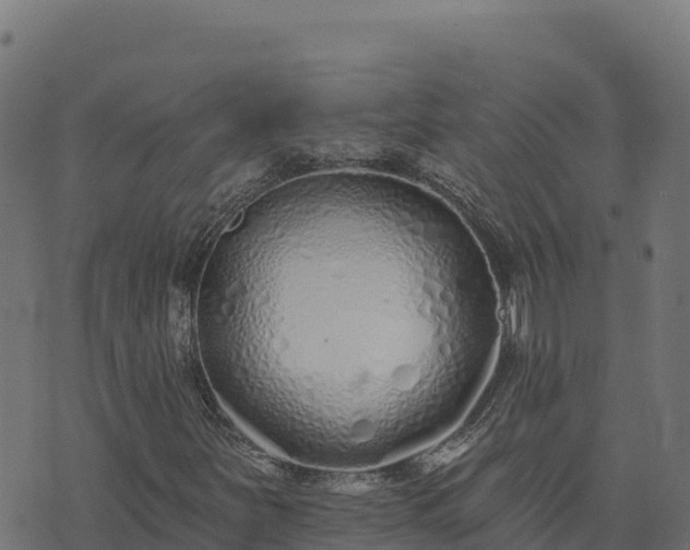 X0000073931251200608181105