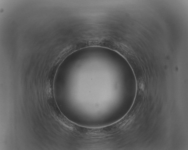 X0000073931252200608181105