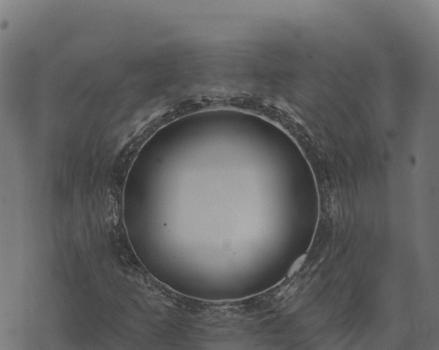 X0000073931253200608181105