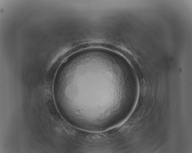 X0000073931255200608181105